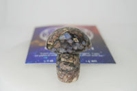 Premium Divine Rock Box