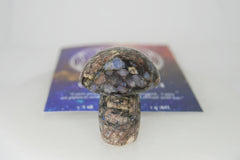 Premium Divine Rock Box
