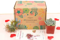 Succulent Subscription Box Delivered Monthly, Unique Succulent Gift Ideas for Any Occasion, Best Valentine's Day Gifts for Kids/ Her/ Him