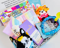 TWEEN WISHBOX - Quarterly Box