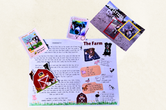 Example of a letter with the stickers, the facts, the postcard and what you get. This shows the first page of letters. 
