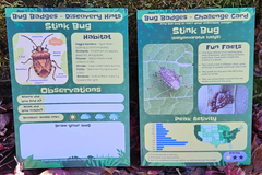 Bug Badges “Stink Bug” Discovery Hints + Challenge Card on a mossy log—kids’ monthly insect identification subscription box