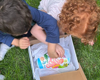 Healthy Snacks for Kids – Monthly Box with Bonus Craft