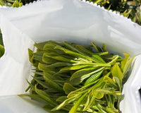 Monthly Onsen Box (Japanese Wellness Sets)