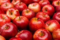 Apple Orchard Gift Set from The Zippy Zebra