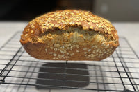 Honey oat sandwich bread made using active and bubbly Dough Dirt sourdough starter. Crispy crust with soft and airy inside texture. 