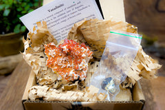 Open box example of Enchanted Crystal subscription box, with single featured crystal and all recycled or recyclable packaging 