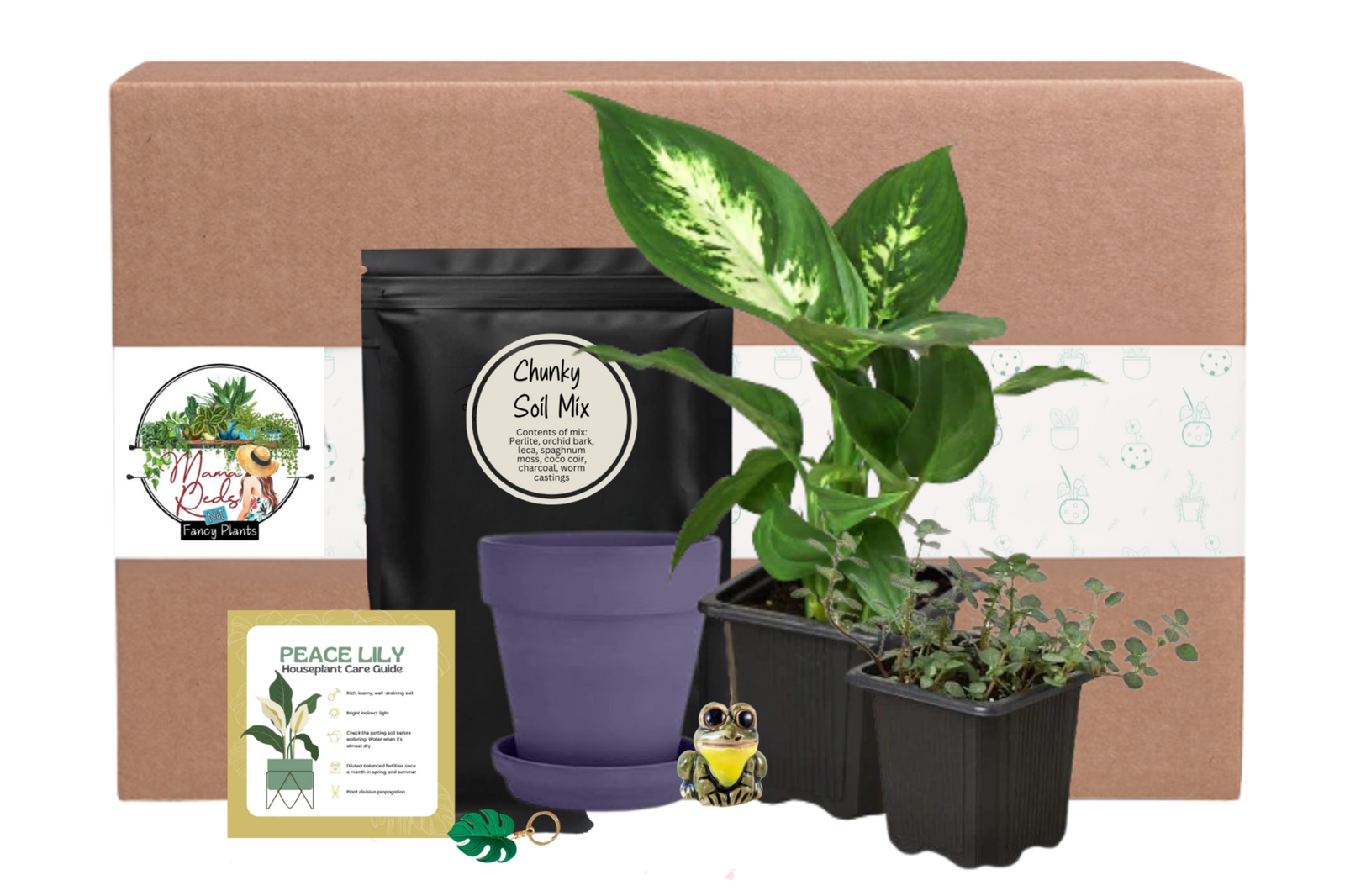 house plant subscription box House Plant Box