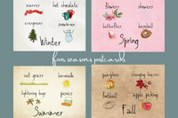 Postcard Club