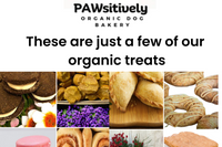 Hand-decorated organic dog cookies made with natural ingredients