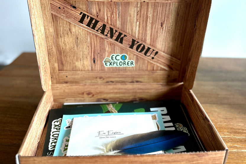 An open Eco Explorer box with a field notebook, comic book, sticker sheet, envelopes, and feather inside.