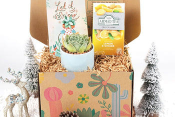 Warmest Wishes Succulent Gift Box - 1 Succulent & 1 Box of Lemon Ginger Tea, Christmas Holiday Gift Ideas