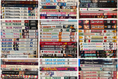 This photo shows examples of different types of manga. Not all manga in the photo is available for the box, but this is a sample.