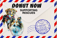 Snorri & Co love donating to rescues! All of the pups are rescues and we make a point of supporting fellow pup rescue friends. 