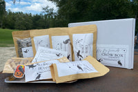 Lets Be friends Crow box | Feed the crows starter lit