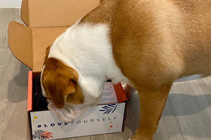 𝐃𝐨𝐠 𝐌𝐨𝐦 𝐌𝐲𝐬𝐭𝐞𝐫𝐲 𝐁𝐨𝐱 (10+ items for dogs & their amazing moms!)