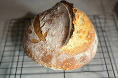 Sourdough artisan boule made from active and bubbly starter. Therapeutic sourdough journey displaying crispy crust. 