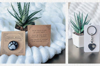 Dog Memorial Gift Box - Pet Loss Sympathy Care Package with Live Succulent & Candle