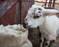 Letters From the Farm