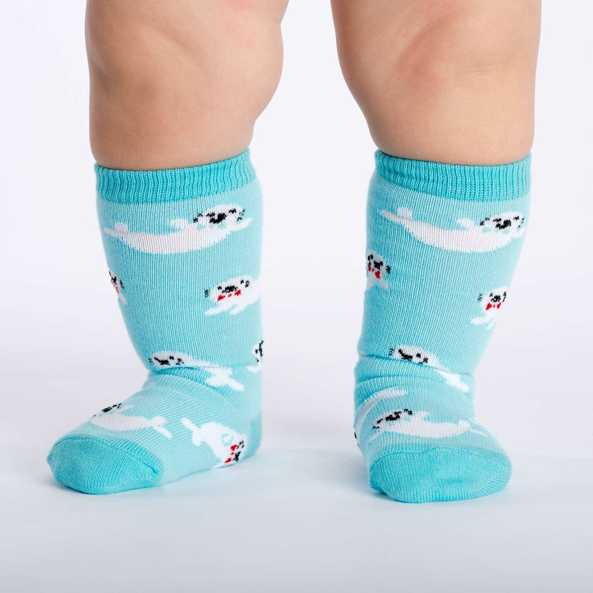 Toddler Knee; Baby Seals