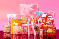 Bokksu Japanese Food & Candy