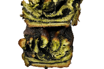 Babka of the Month by Little Red Kitchen Bake Shop