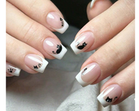 Cat - Are You Kitten Me?