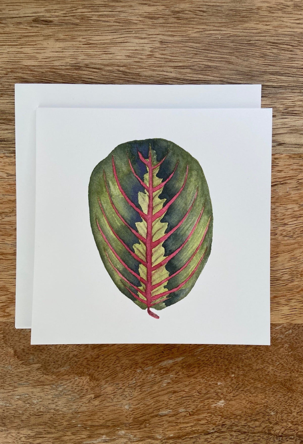 Red Prayer Plant Any Occasion Card