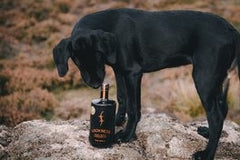 Black Lab with Scottish Gin