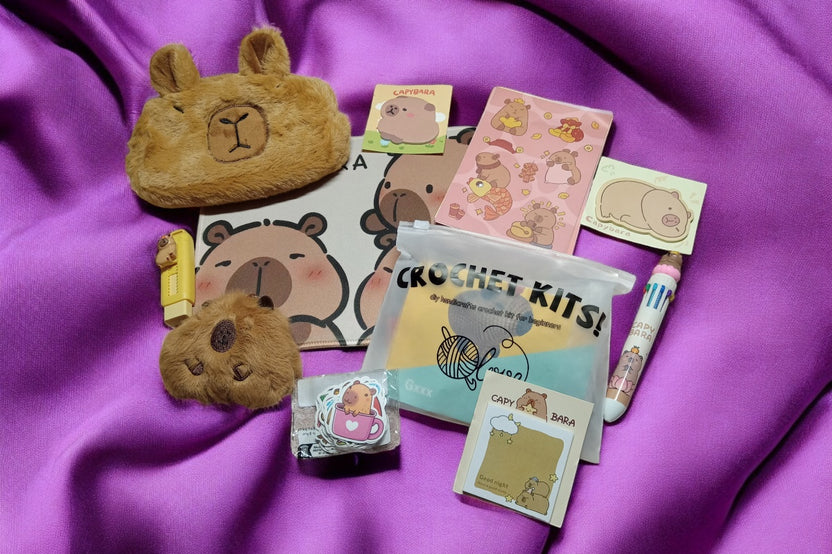 Capybara Stationery Set. Includes a crochet kit, sticky notes, pen, stickers, mouse pad, erasers, keychain, pencil case