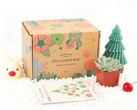 Succulent Subscription Box Delivered Monthly, Christmas Holiday Plant Gift Ideas, Succulent Decoration, Christmas Gift for Women