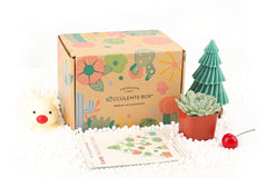 Succulent Subscription Box Delivered Monthly, Christmas Holiday Plant Gift Ideas, Succulent Decoration, Christmas Gift for Women