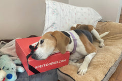 Thanksgiving Oink Oink Gobble Gobble Box