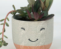 MY GARDEN BOX, The Original 'DIY' Project Box 2025 / 2026