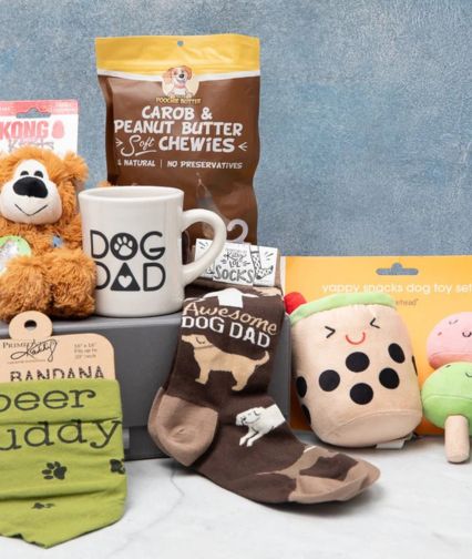 Pet parent subscription boxes