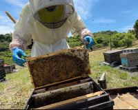 Monthly Onsen Box (Japanese Wellness Sets)