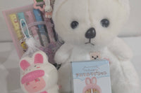 Easter bear dressed as a bunny for Easter basket, stationary highlighters mystery blind box figure, squishy bunny, bunny keychain
