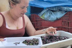 We travel the world and collect our own stones as well as support family mines and shops. This is how we now our stones are conflict free.