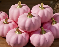 The Halloween Box ships year round and features a Pink and Black theme for 2025 - If you love the vibe, you will LOVE this box! 