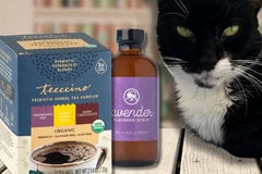 Brews & Blessings Box – Coffee, Tea & Cat Subscription Box That Helps Cats
