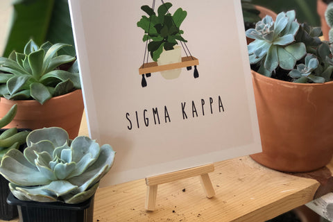 Licensed dorm decoration for Sigma Kappa featuring succulents and a support easel for easy display. 