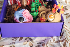 Monthly Fidgets Box