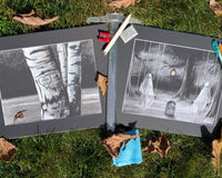 Our October 2025 Art Box, will include the drawings, Enduring Imprint and Grave Humor.  Come and get dirty with us and create.