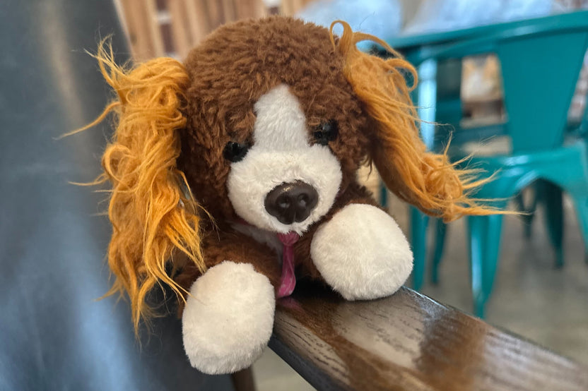 The front of Snorri hanging out on the edge of a chair while out and about in the world. This shows that the stuffed animal can travel. 