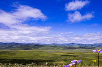 beautiful scenery