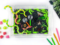 Therapy Sensory Bin | BUGS! 🪱🐛🦋🐝🐞🕷