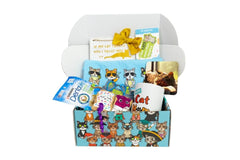 Purrfect Little Art Cat Lover's Box