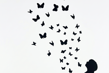 Banksy Poster Subscription | 20 A3 Street Art Prints Monthly