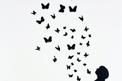 Banksy Poster Subscription | 20 A3 Street Art Prints Monthly