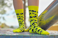 Sock Panda Tween Sock Subscription (Ages 8-11)  -  Two Pairs Each Month